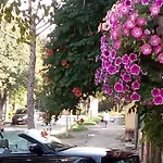 아파트 