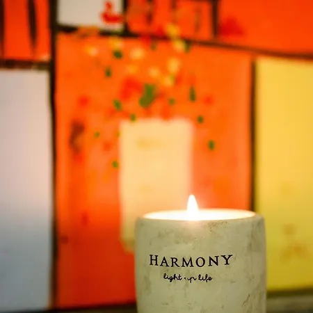 Sonnenschein In Harmonie Und Farbe Quedlinburg